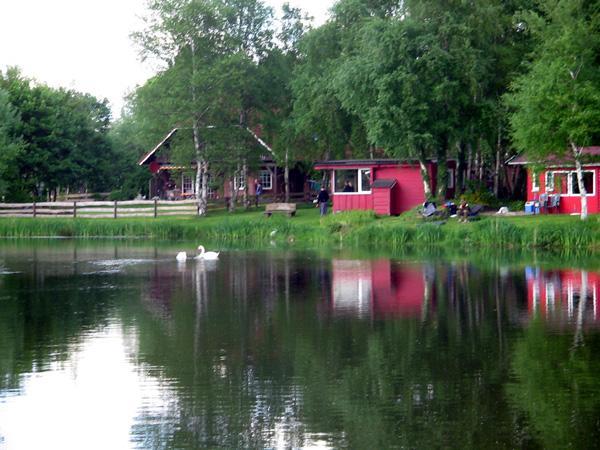 Pension Am Birkensee Detern Buitenkant foto