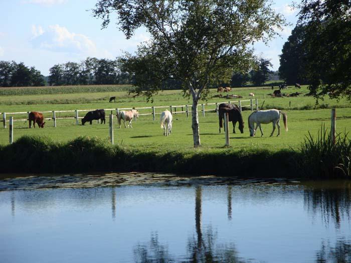 Pension Am Birkensee Detern Buitenkant foto