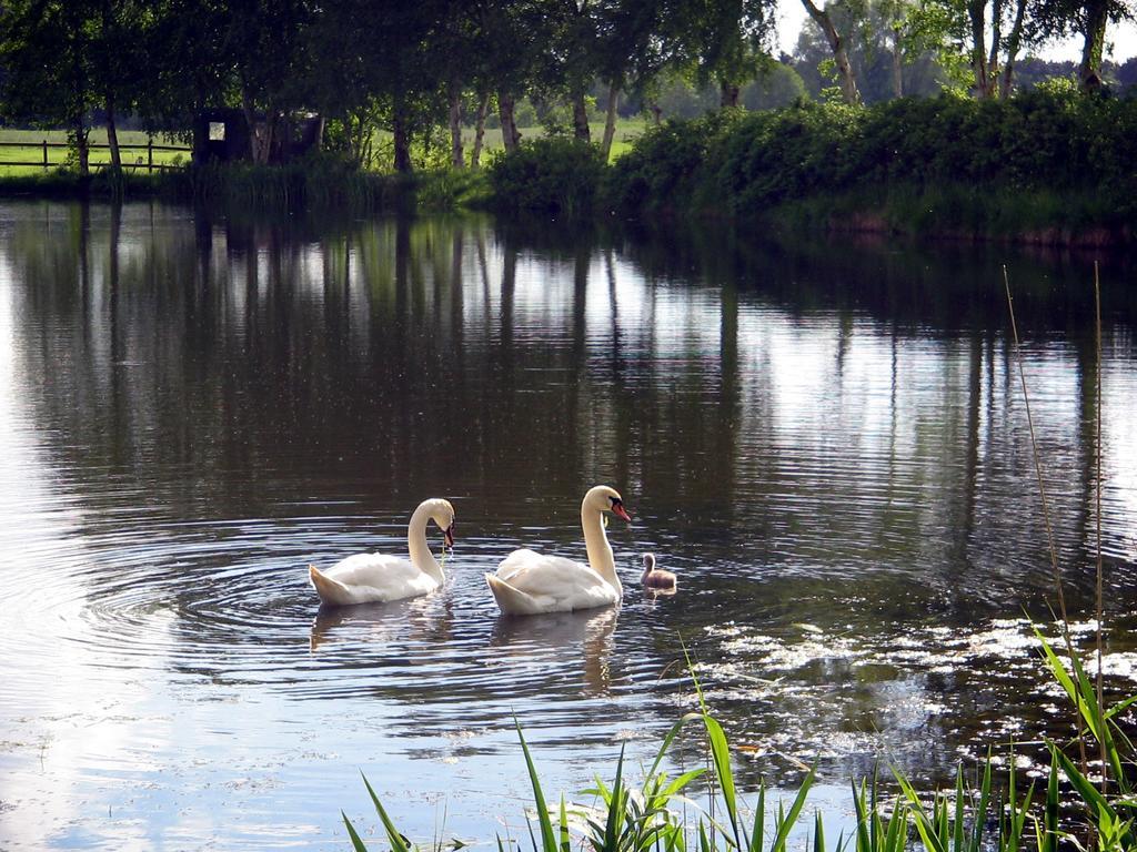 Pension Am Birkensee Detern Buitenkant foto